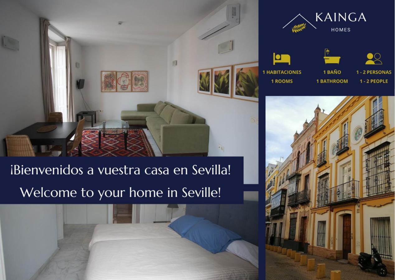 Kainga Homes - Apartamentos Santa Ana Appartement *